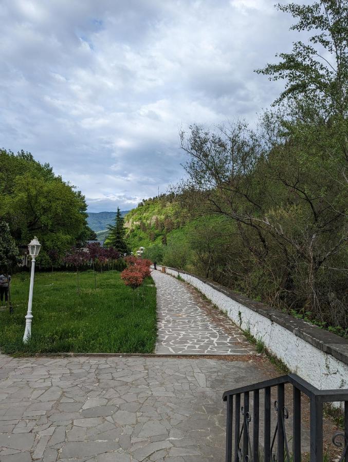 Gari'S Apartment Next To Borjomi Central Park Exterior foto